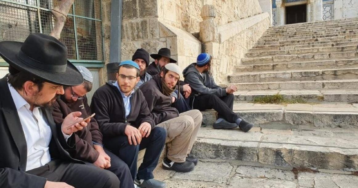 343 مستوطن "اقتحموا" باحات المسجد الأقصى هذا الأسبوع