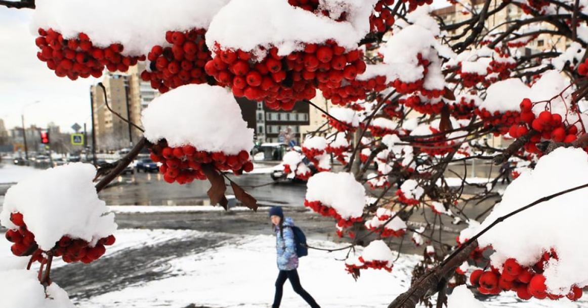 بداية موسم تساقط الثلوج في روسيا