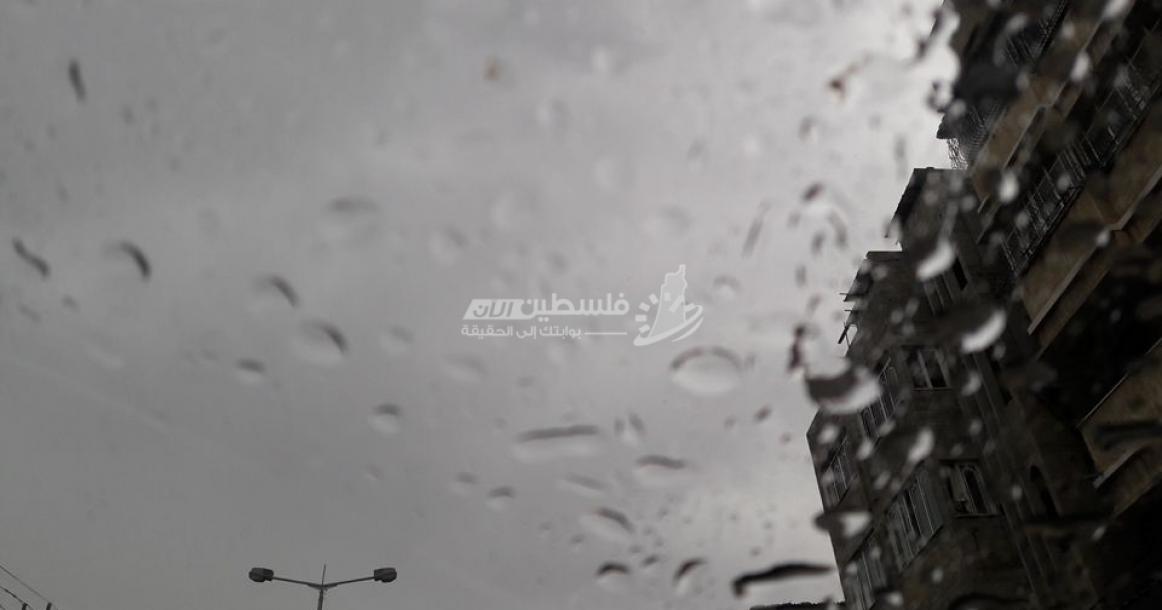أمطار الخير تهطل على غزة