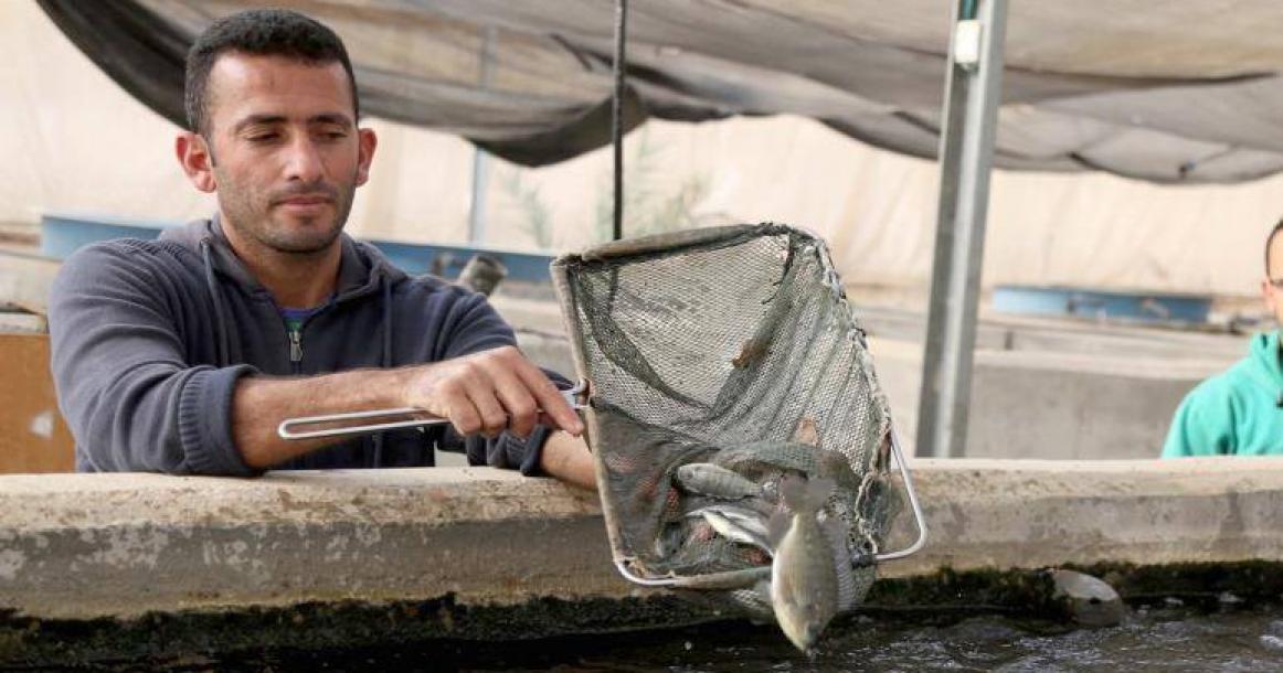 مهندس فلسطيني يستزرع "السمك"