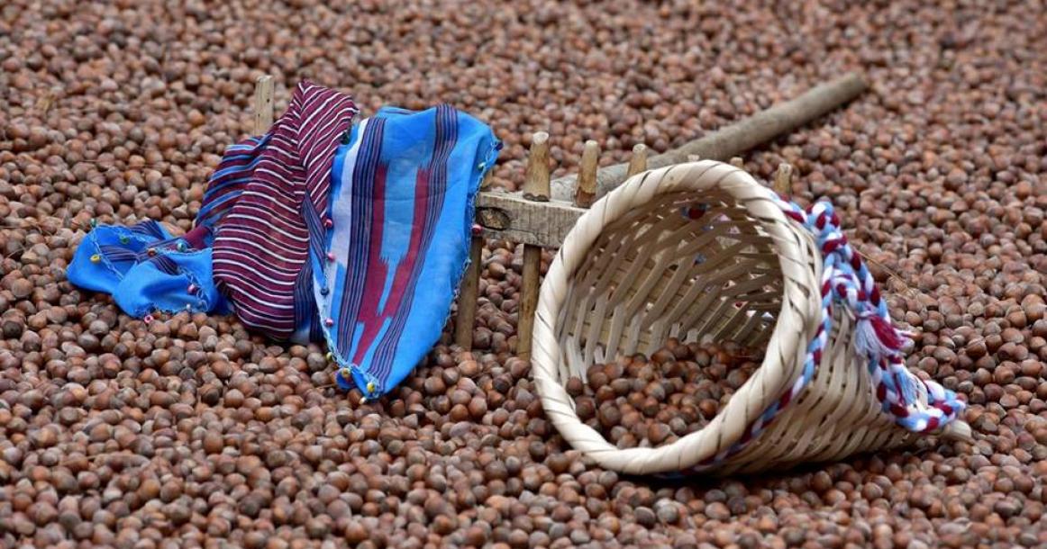 صور: البندق في تركيا