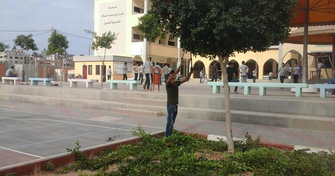 بلدية النصيرات تُقلم أشجار مدارس المخيم