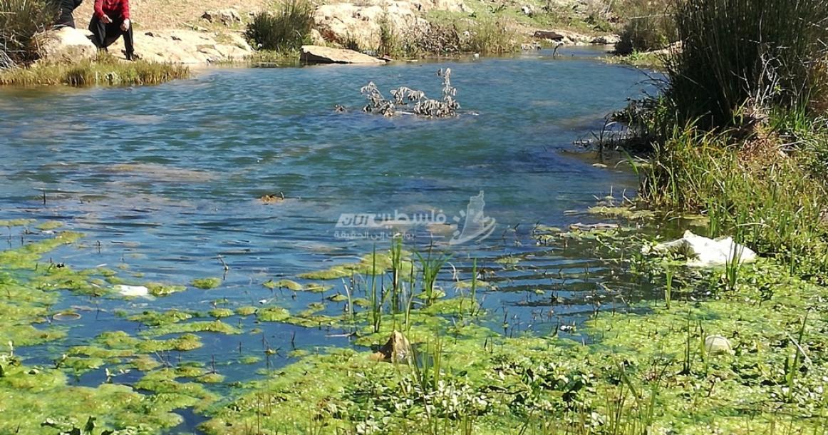 محمية "وادي قانا" الساحرة