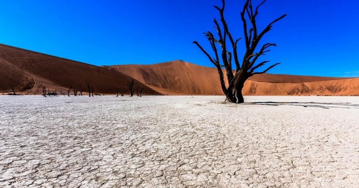 ناميبيا.. لن تصدق أنها حقيقية