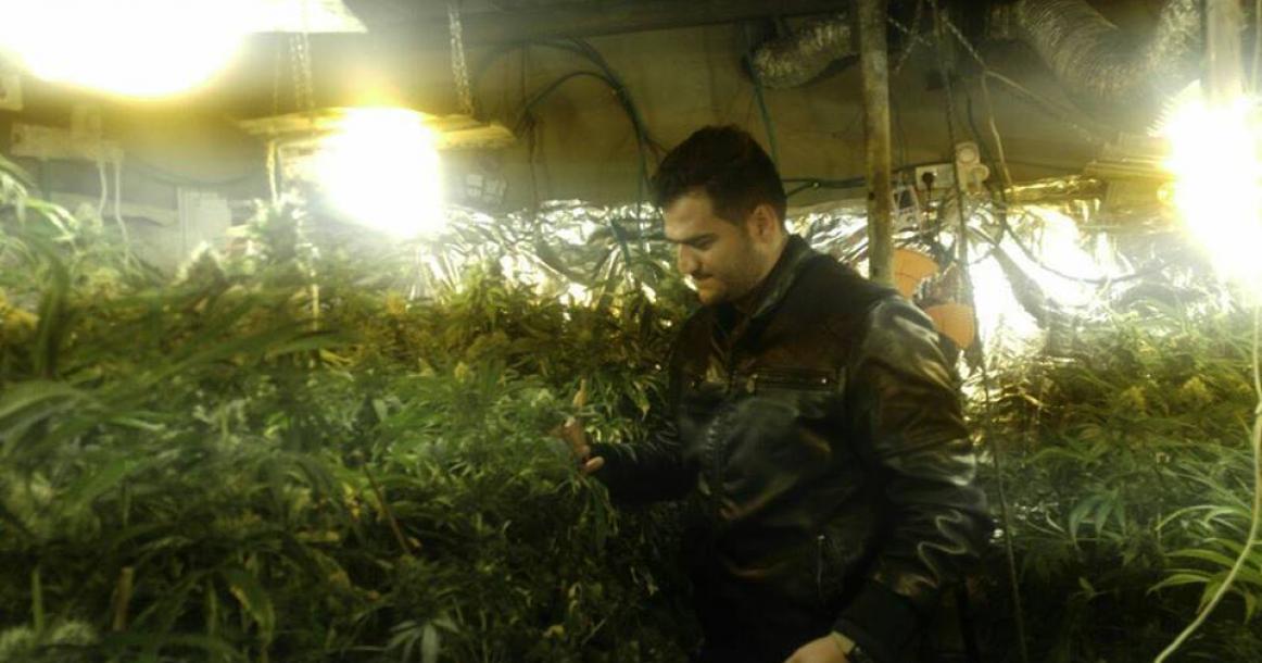 العثور على مشتل للمخدرات جنوب الخليل