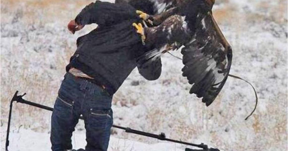 التقطت في الوقت المناسب