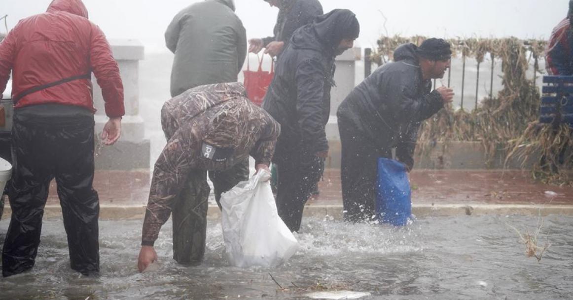 السماء تمطر أسماكا في مالطا