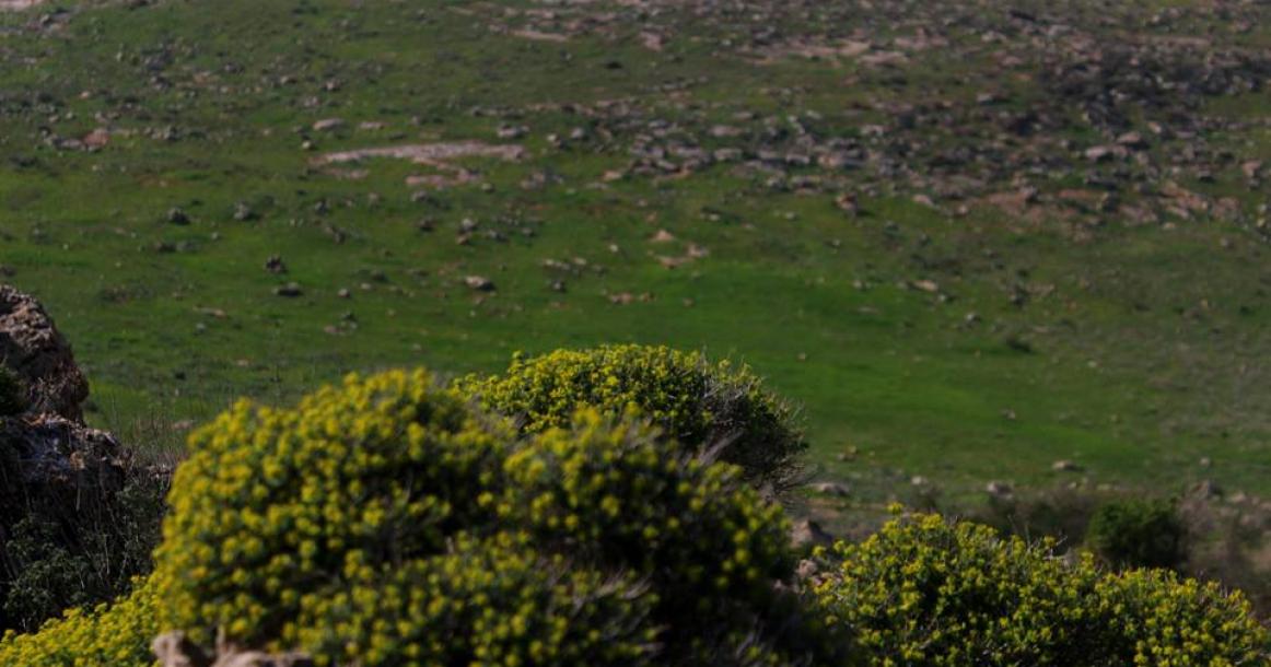 جولة في جبال بلدة طمون بجنين