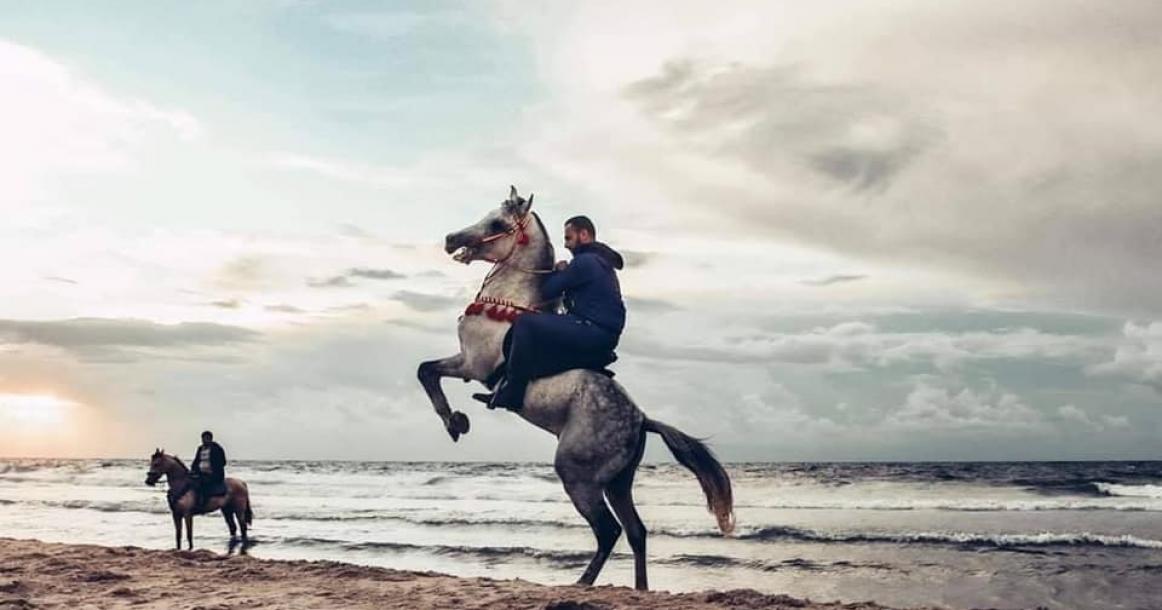 جمالية لشاب يمتطي الخيل على شاطئ بحر غزة