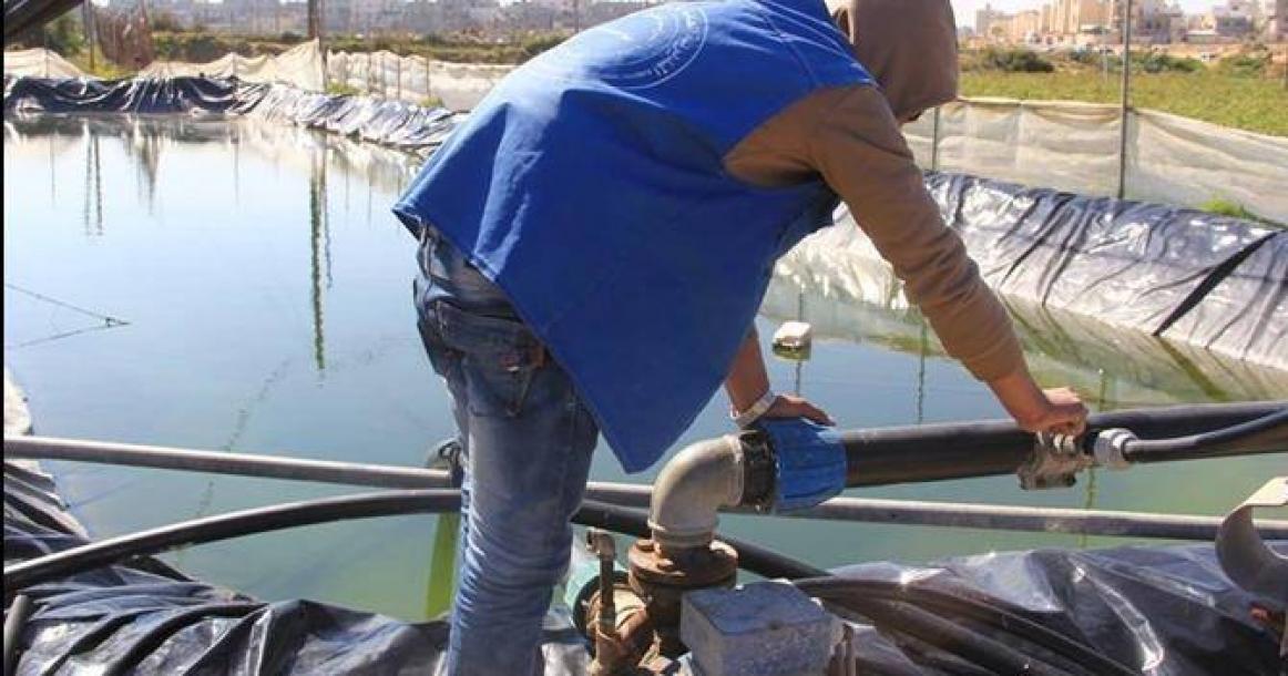 "النزيل المنتج".. فلسفة جديدة للتأهيل الإصلاحي