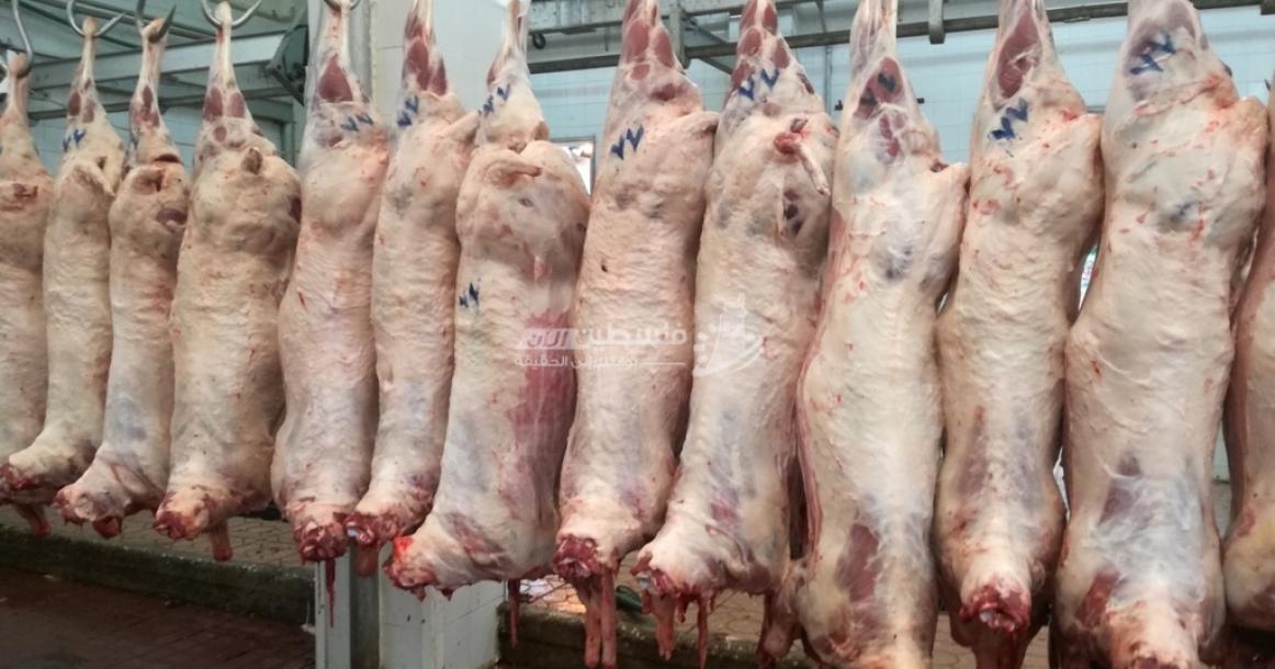 ذبح الأضاحي في مسلخ نابلس البلدي
