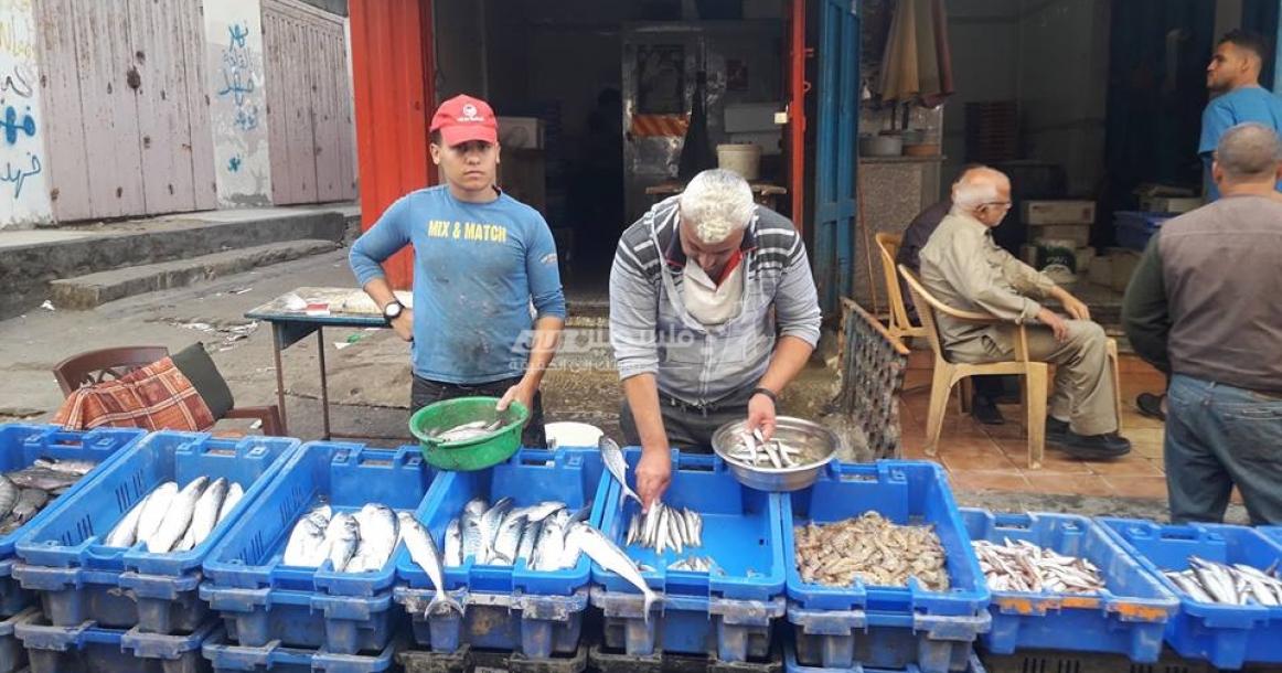 سوق السمك بمخيم الشاطئ غرب مدينة غزة