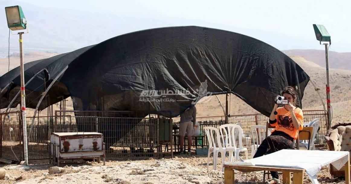 مستوطنون ينصبون خياماً بالقرب من "خربة الحمة" بالأغوار الشمالية