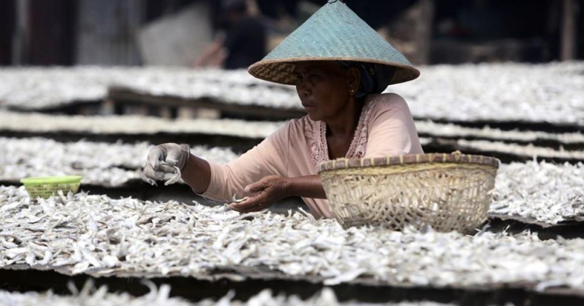 صيادون يرتبون أسماك مملحة للتجفيف بجاكرتا