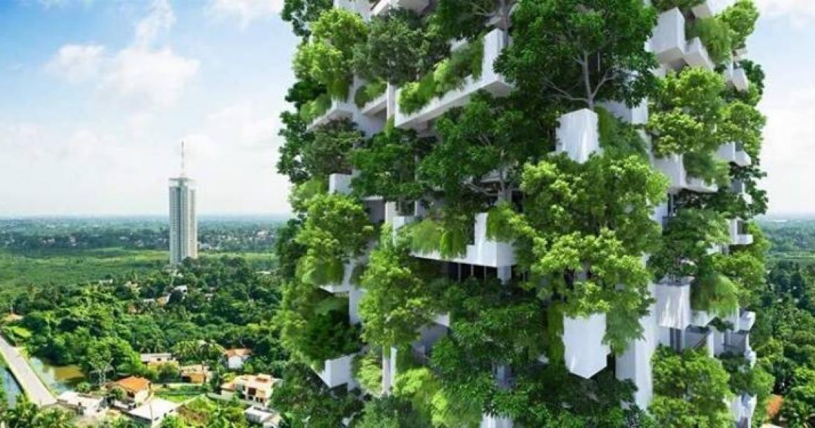 برج "كلير بوينت" في سيريلانكا