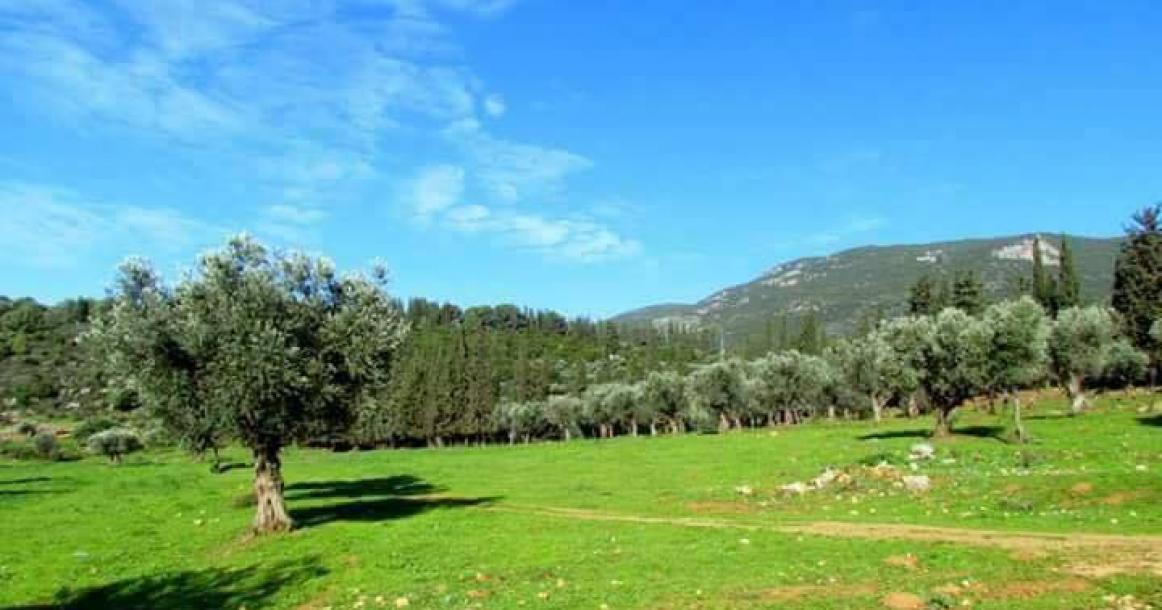 قرية ⁧الفراضية في صفد