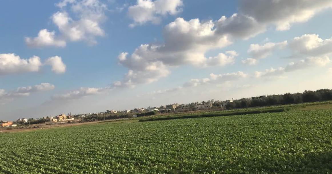 جمال الطبيعة في "عبسان الجديدة" بخانيونس