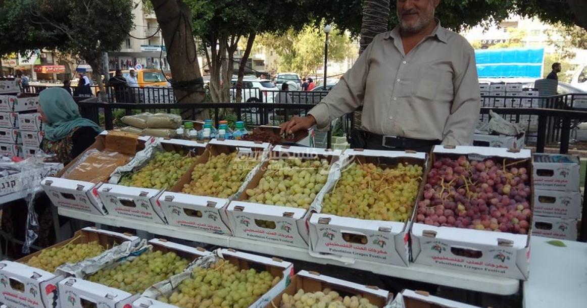 معرض العنب الفلسطيني بنابلس