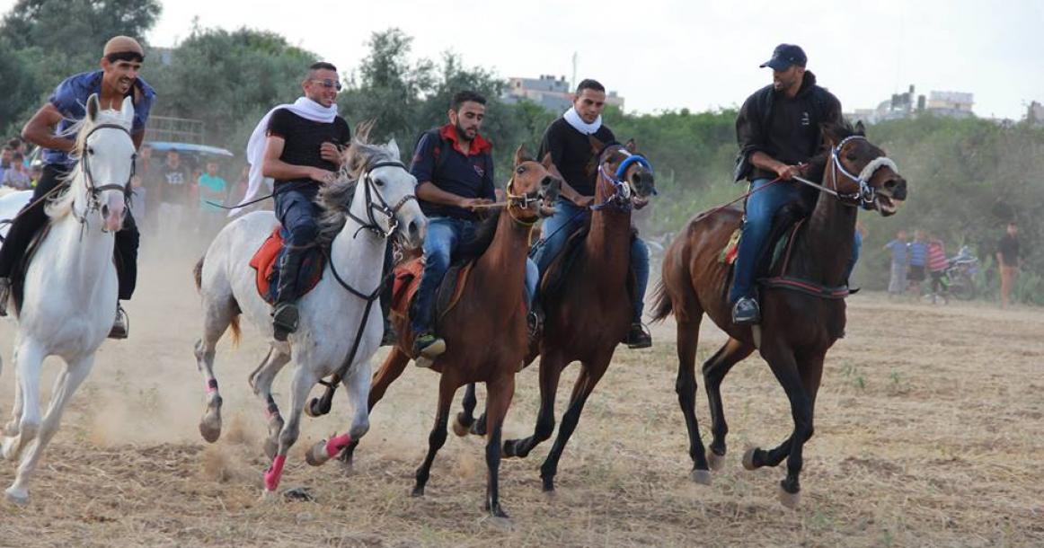 عرض خيول وإبل شرق المحافظة الوسطى