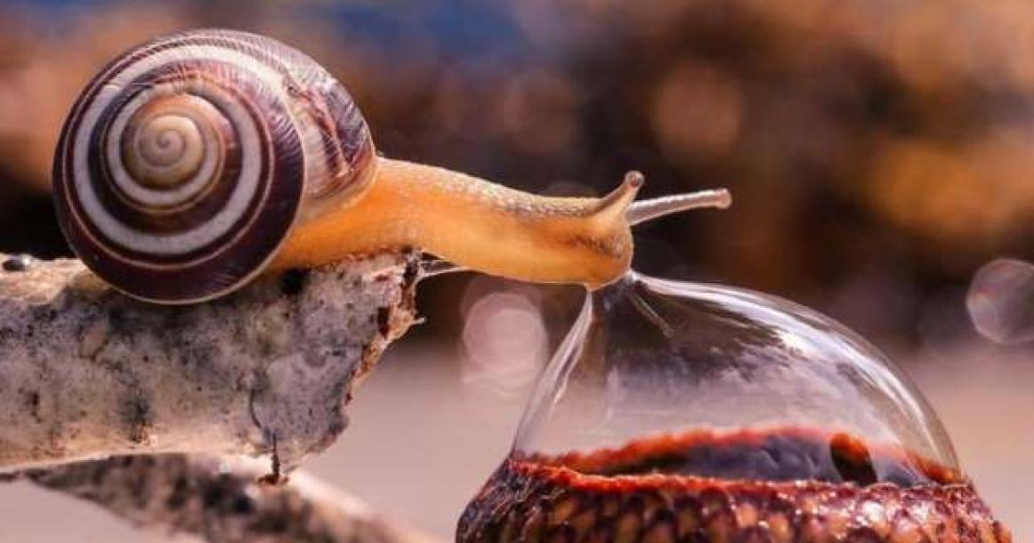 15 صورة تلخص لك جمال الطبيعة وجنونها وعجائبها