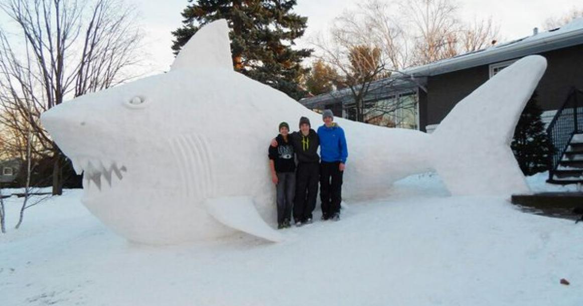 منوعات حول العالم