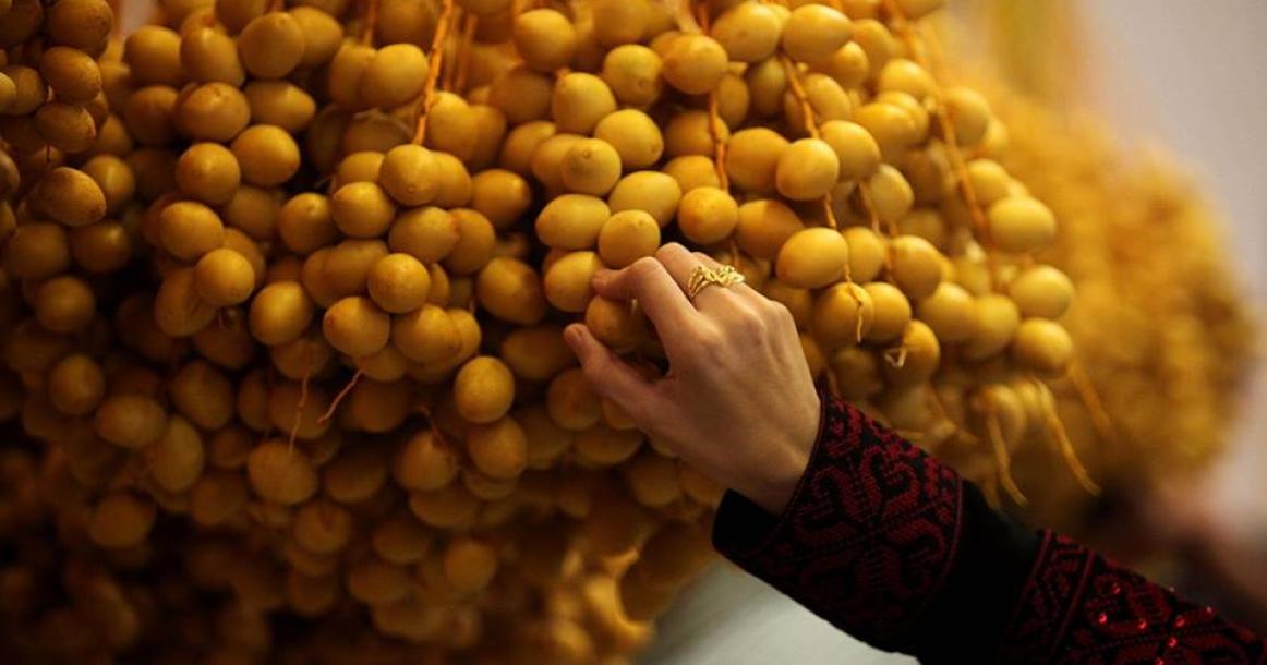 انطلاق فعاليات معرض بَلَح فلسطين 2016 في غزة