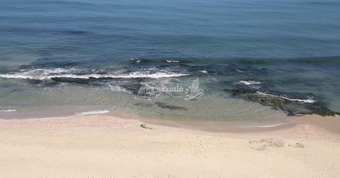 بحر المحافظة الوسطى صباح اليوم