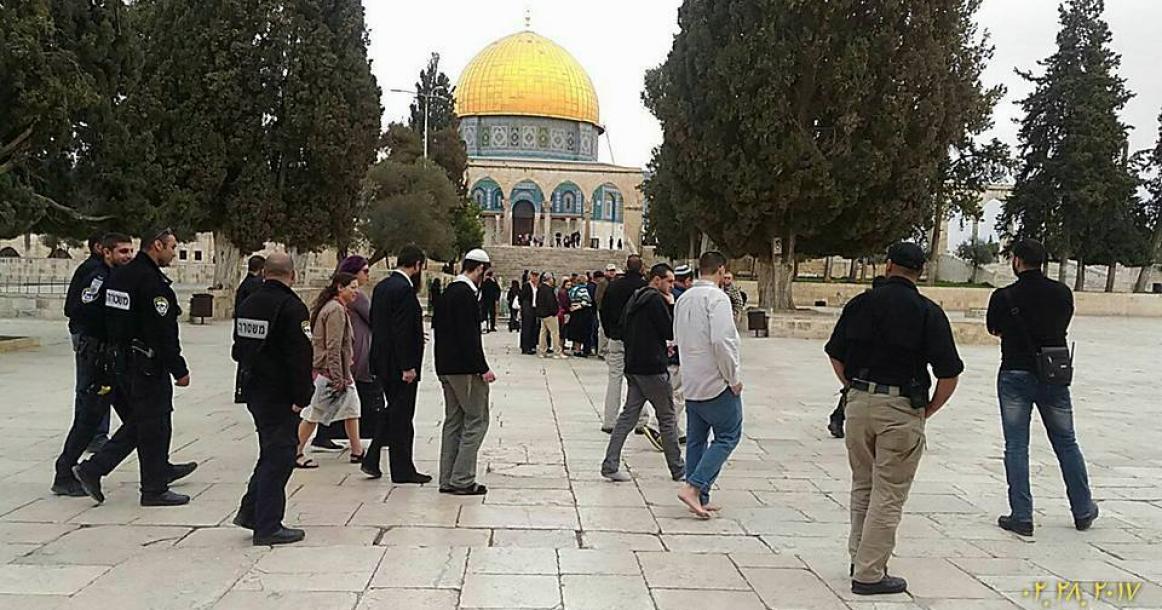 مجموعات من المستوطنين تقتحم المسجد الأقصى وإغلاق لباب المغاربة