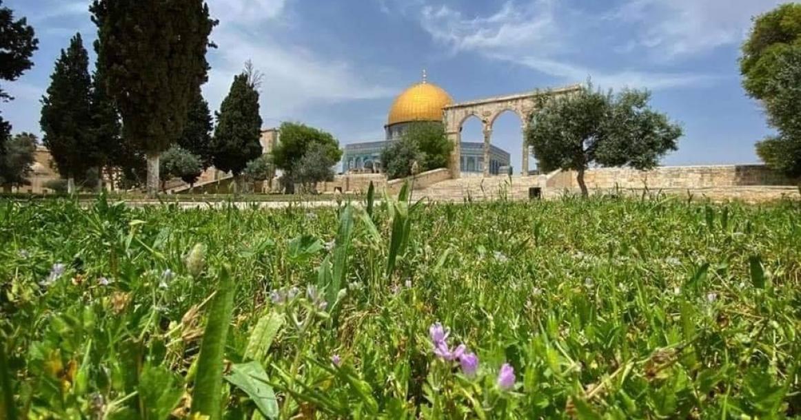 جولة في باحات المسجد الأقصى في ظل جائحة كورونا