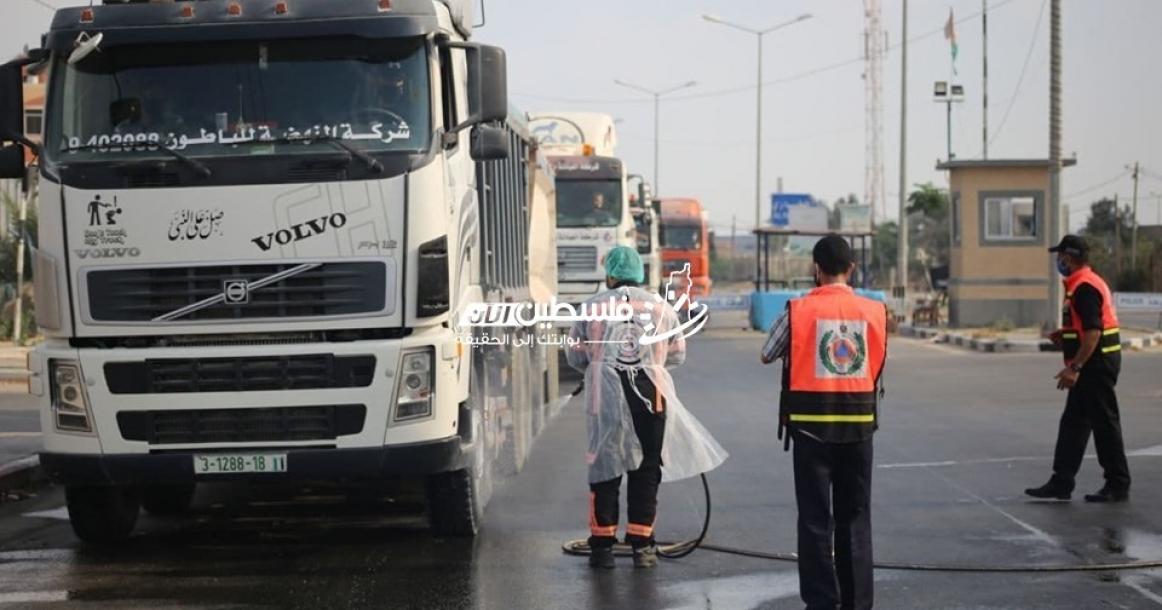 صور من دخول الوقود لمحطة توليد الكهرباء عبر معبر كرم أبو سالم