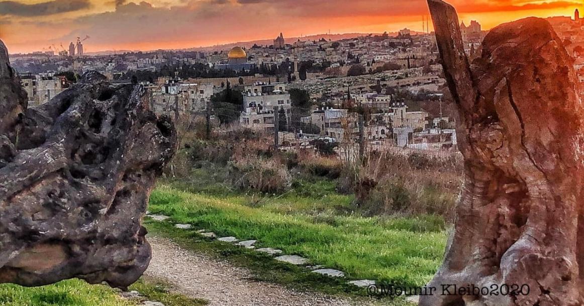 المسجد الأقصى والقبة الذهبية كما تبدو من أحد مرتفعات القدس