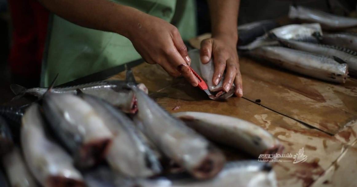 تحضير الفسيخ لعيد الفطر بغزة