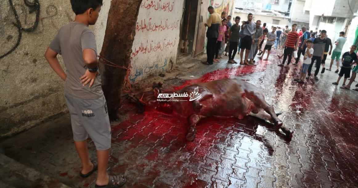 أهالي قطاع غزة يحييون مشاعر عيد الأضحى