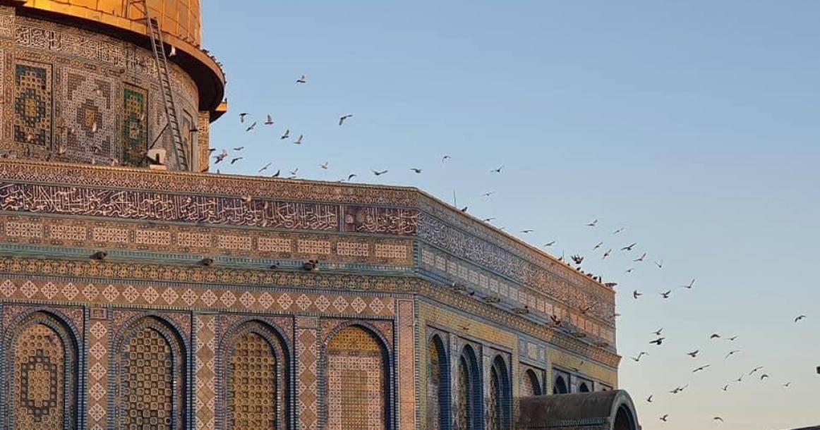 القدس المحتلة العاصمة الأبدية صباح اليوم