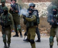 ضابط إسرائيلي يروي تفاصيل ما جرى في جنين