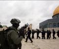 8 شهداء و2209 انتهاكات للاحتلال في القدس منذ بداية العام