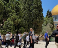 حماس: تجدد الاقتحامات في الأقصى لن يفلح في تغيير هوية القدس