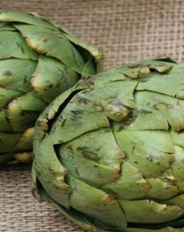 fe88791d1bffd82772cecbe7314f63f9