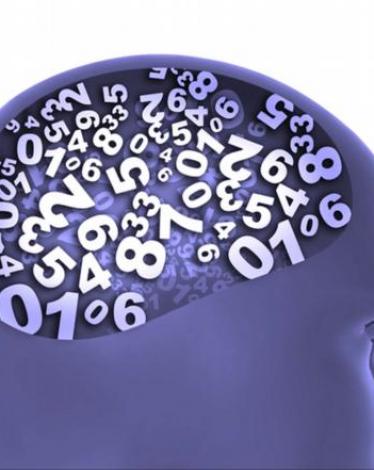 441 (2)