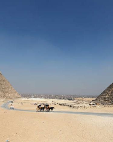 تقارير تكشف عن 