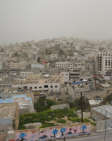 Hebron-11295