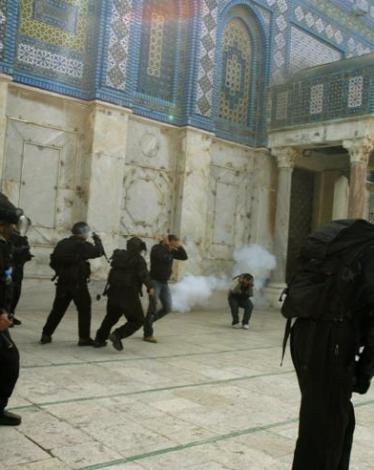 663e95ba6d0e45fb35baa5f6dc85bbc3