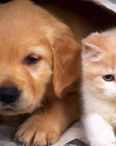 598432ecd437502a038b4568