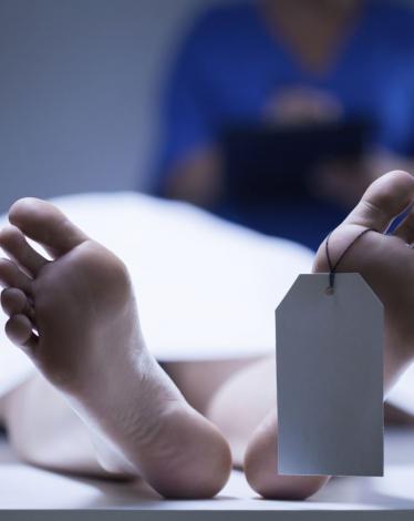 e72e2338a04ec47c0b47e250361f1e72