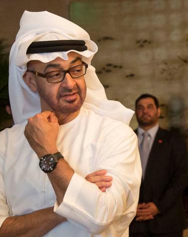 سلطان بن زايد