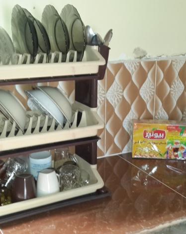 "فلسطين الآن"