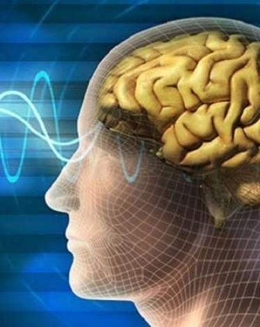 5a1533c395a597c23b8b4567