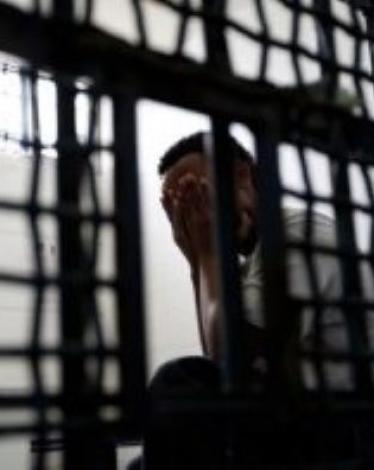 135510219032127046656