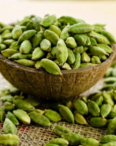 طبقبذورالهيل