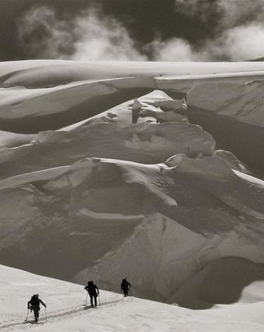 5cc0528e95a59705578b45a2